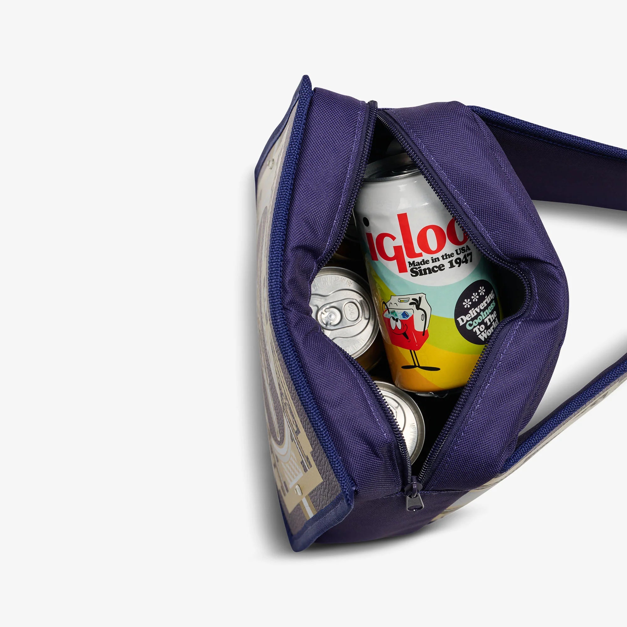 Igloo Coolers NFL WWE Cooler Fanny Pack - Image 16