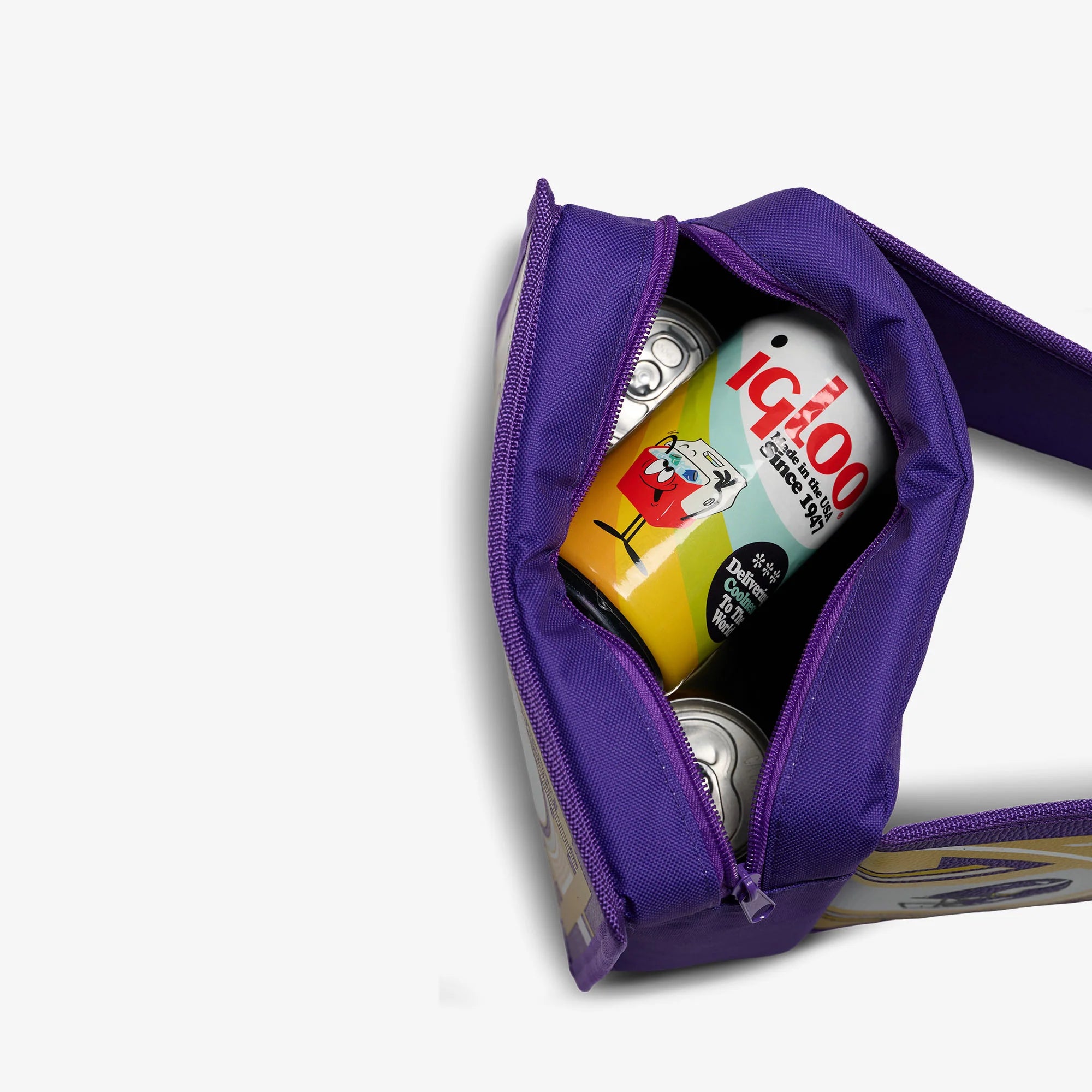 Igloo Coolers NFL WWE Cooler Fanny Pack - Image 103
