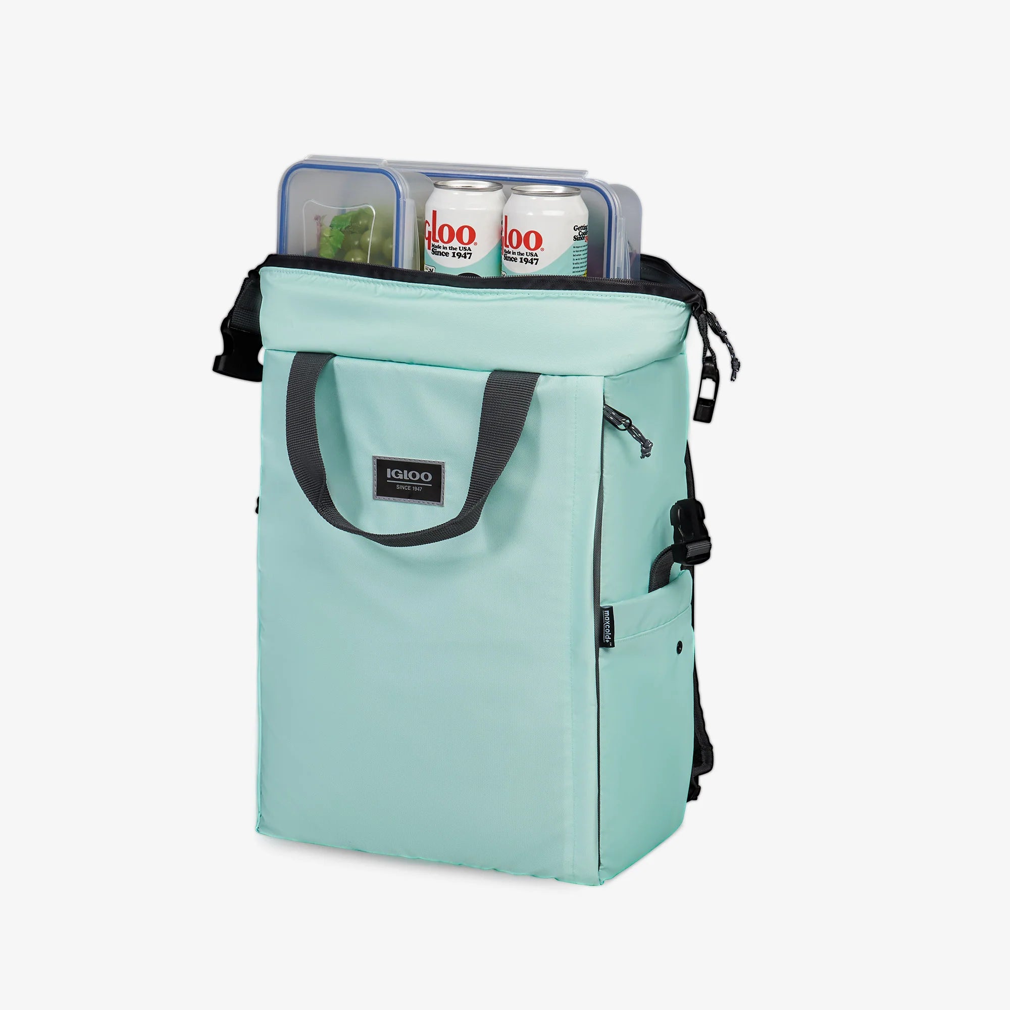 Igloo Coolers South Coast Snapdown 24-Can Backpack - Image 19